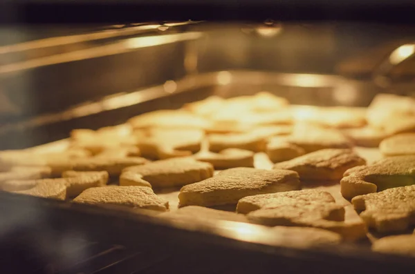 Fazer Biscoitos Caseiros Aveia Mulher Segurando Uma Bandeja Biscoitos Com — Fotografia de Stock