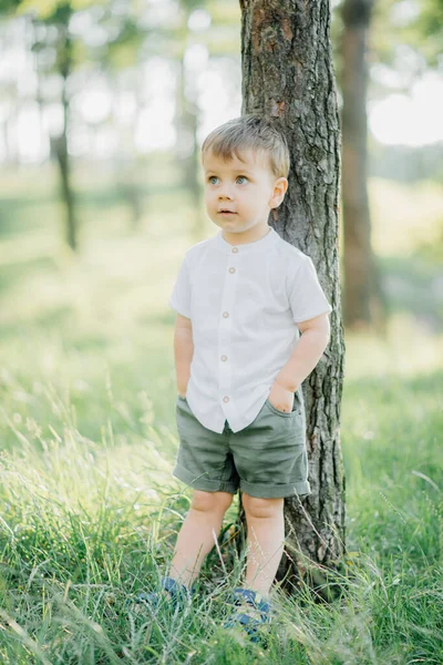 Retrato Criança Masculino Vestindo Uma Camisa Branca Elegante Calças Verde — Fotografia de Stock