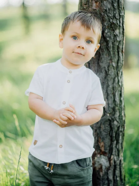 Retrato Criança Masculino Vestindo Uma Camisa Branca Elegante Calças Verde — Fotografia de Stock