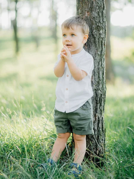 Retrato Criança Masculino Vestindo Uma Camisa Branca Elegante Calças Verde — Fotografia de Stock