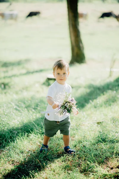 Retrato Criança Masculino Vestindo Uma Camisa Branca Elegante Calças Verde — Fotografia de Stock