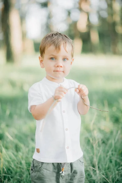 Retrato Criança Masculino Vestindo Uma Camisa Branca Elegante Calças Verde — Fotografia de Stock