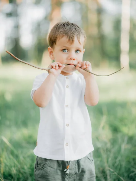 Niño Retrato Masculino Con Una Elegante Camisa Blanca Pantalones Color — Foto de Stock