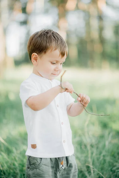 Niño Retrato Masculino Con Una Elegante Camisa Blanca Pantalones Color —  Fotos de Stock