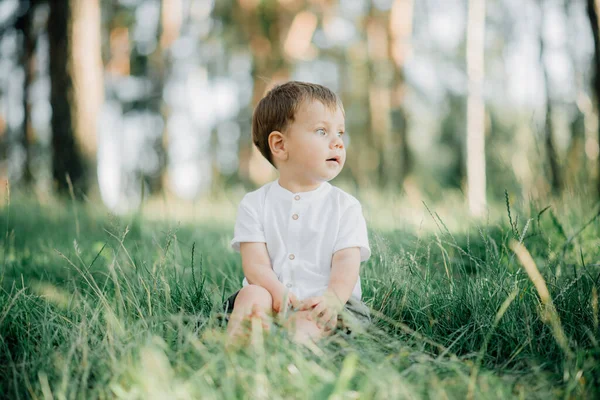 Feliz Jovem Família Passar Tempo Juntos Fora Verde Natureza — Fotografia de Stock