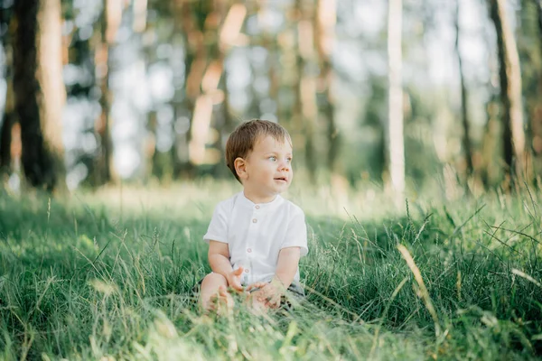 Feliz Familia Joven Pasar Tiempo Juntos Fuera Naturaleza Verde — Foto de Stock