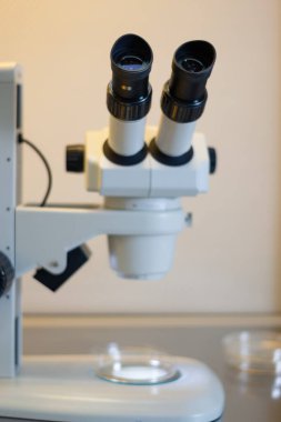 Laboratuvarda araştırma amaçlı doku kültüründe kullanılan laminar akış dolabının içindeki stereo mikroskop.