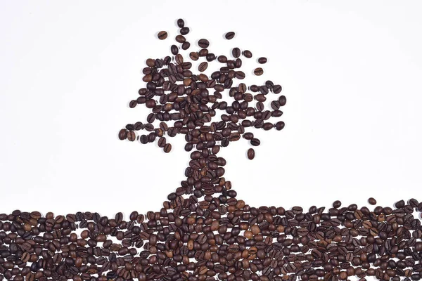 Vorm Van Boom Gemaakt Van Koffiebonen Geïsoleerd Witte Achtergrond — Stockfoto