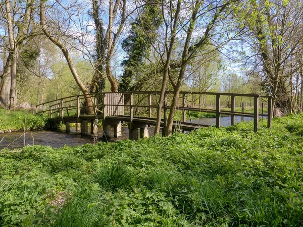 Деревянный Мост Через Реку Шахматы Меловой Поток Чилтерн Хиллс Хартфордшир — стоковое фото