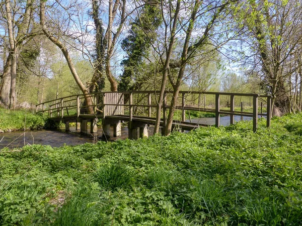 Satranç Nehri üzerindeki tahta köprü Chiltern Hills, Hertfordshire, İngiltere 'de bir tebeşir deresi.