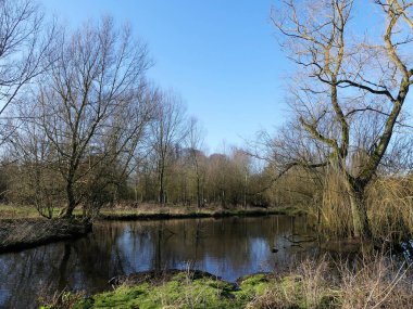 The River Chess, Chiltern Hills, Hertfordshire, İngiltere 'de bir tebeşir deresi.