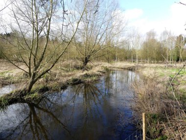 The River Chess, Chiltern Hills, Hertfordshire, İngiltere 'de bir tebeşir deresi.