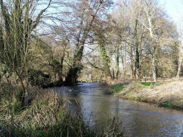 Bridge River Chess Ruscello Gesso Sulle Chiltern Hills Hertfordshire Regno — Foto Stock