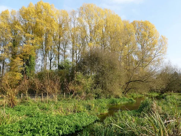 Όμορφη Φθινοπωρινή Σκηνή Δίπλα Στον Ποταμό Σκάκι Στο Chorleywood Hertfordshire — Φωτογραφία Αρχείου