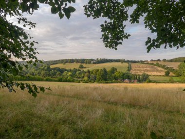 Hertfordshire 'ın Chiltern Hills' indeki Satranç Vadisi manzarası