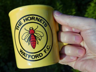 Hornets Watford Futbol Kulübü hatıra porselen kupası.