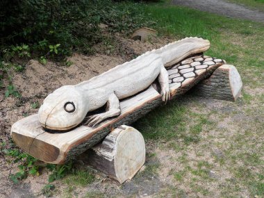 Ağaç gövdesine oyulmuş semender, Chorleywood Common, Hertfordshire