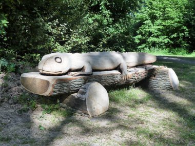 Ağaç gövdesine oyulmuş semender, Chorleywood Common, Hertfordshire