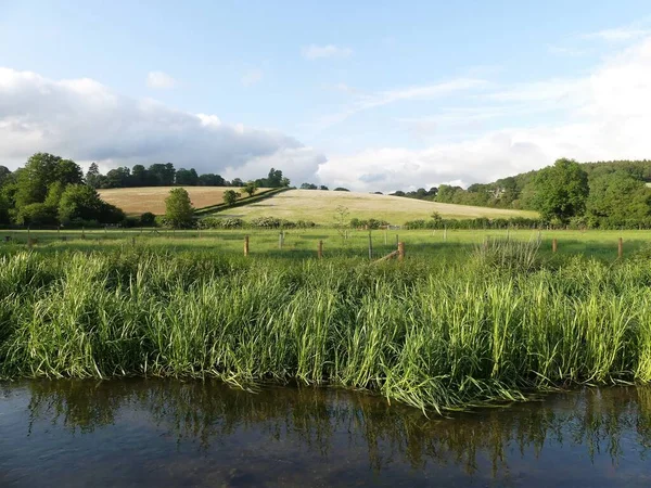 River Chess Ruisseau Craie Dans Les Chiltern Hills Hertfordshire Royaume — Photo