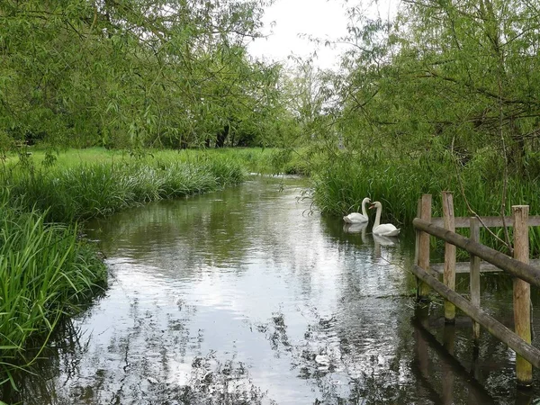 Vista Del Ajedrez Del Río Los Chilterns Buckinghamshire Cerca Chenies —  Fotos de Stock