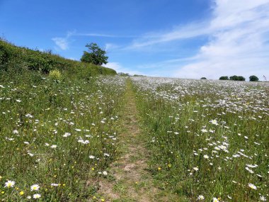 Church End, Sarratt, Hertfordshire, İngiltere 'ye giden yol.