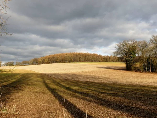 纵观田野 看到英国赫特福德郡萨拉特的Scrubbs Wood — 图库照片