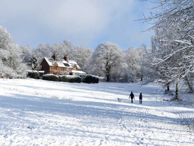 Chorleywood Common, Hertfordshire, İngiltere 'de kış kar sahnesi