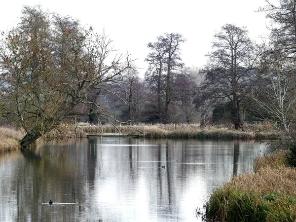 Vista Rio Xadrez Perto Latimer Buckinghamshire Inglaterra Reino Unido — Fotografia de Stock