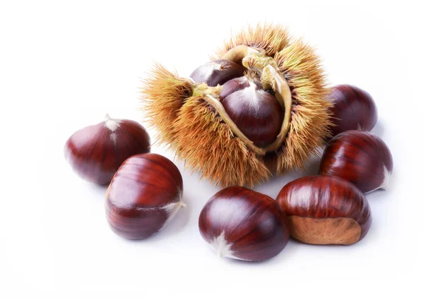 Castagne Sparse All Interno Del Guscio Spinoso Isolato Sfondo Bianco — Foto Stock