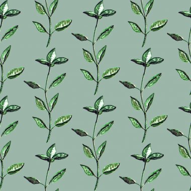 Yeşil fesleğen dalları