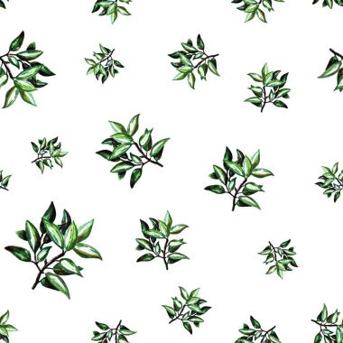 suluboya defne dalları