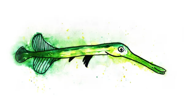 Watercolour sea fish — Stock Photo, Image