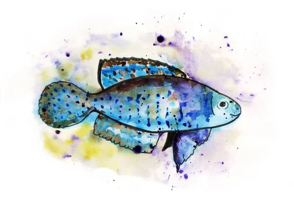 Watercolour sea fish — Stock Photo, Image