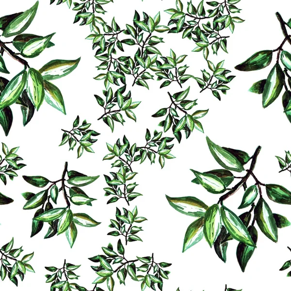 Pattern with bay branches. — Stock Photo, Image