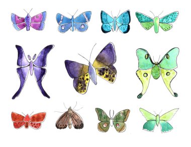 suluboya kelebek seti