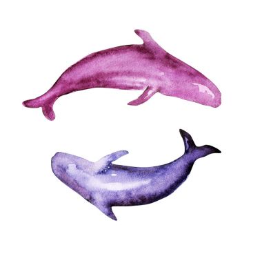 suluboya balinalar çizilmiş