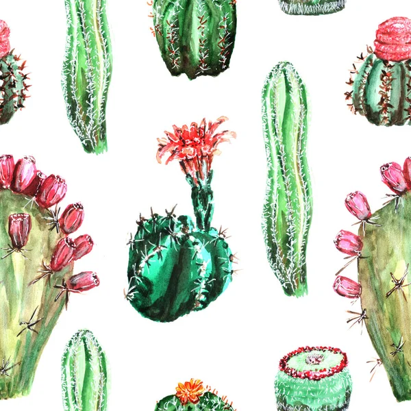 Візерунок з різнокольоровими кактусами — стокове фото