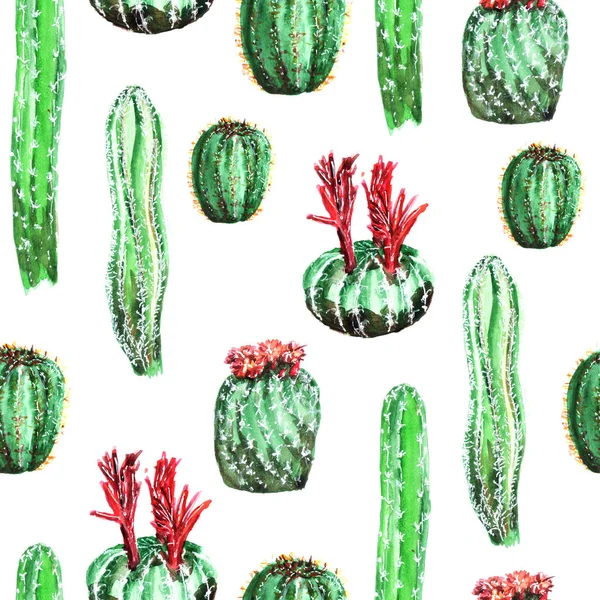 desen renkli kaktüsler ile