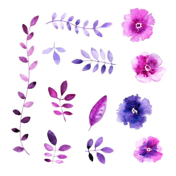 suluboya çiçek ve dalları