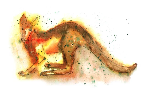 Kanguru suluboya çizimi. 