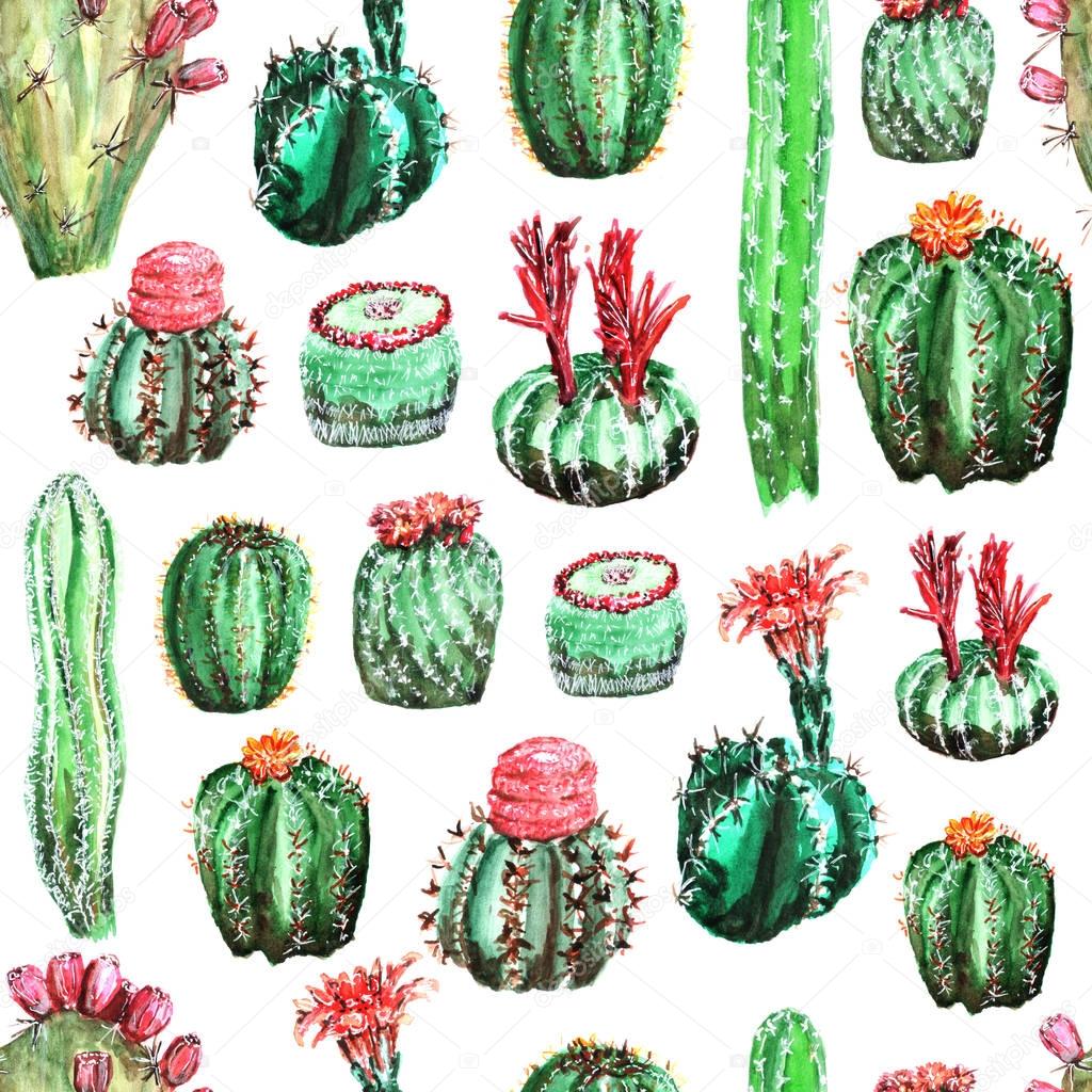 pattern with colorful cacti