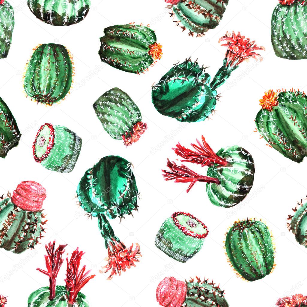 pattern with colorful cacti