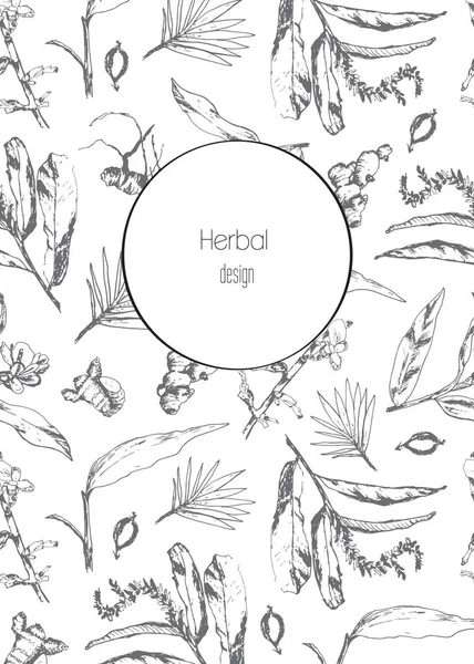 mutfak ot ve baharat seti