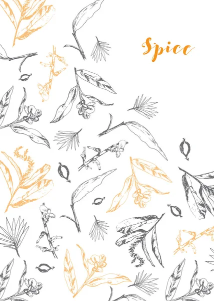 mutfak ot ve baharat seti