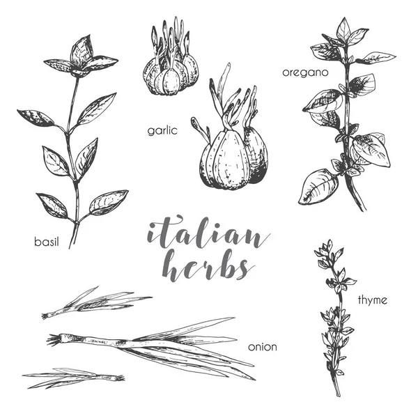 mutfak ot ve baharat seti