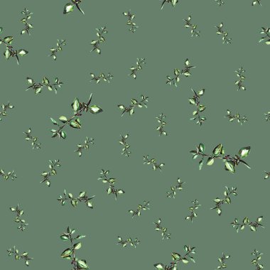 kekik dalları desen