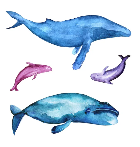 Бесшовный рисунок китов акварелью . — стоковое фото