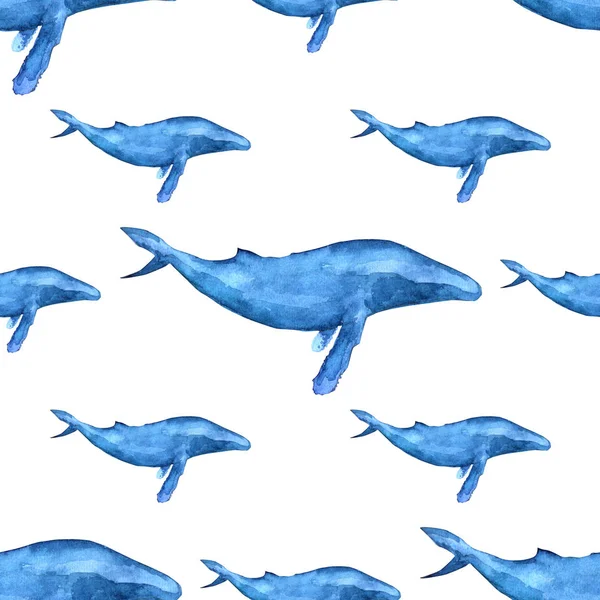 Aquarelle baleine motif sans couture . — Photo