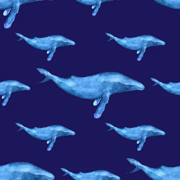 Aquarelle baleine motif sans couture . — Photo