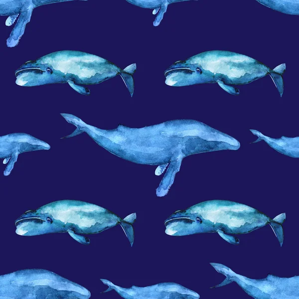 Aquarelle baleine motif sans couture . — Photo
